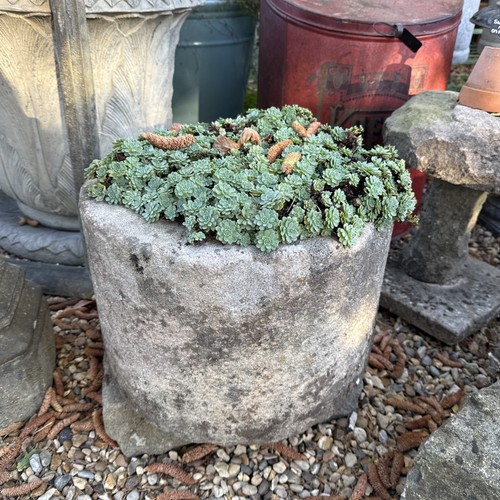 Antique 19th century round
