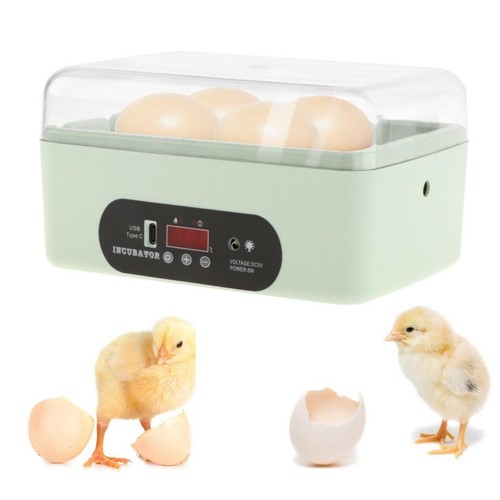 Egg incubator hatcher - incubator,