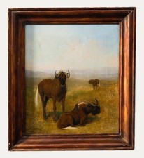 Circle of Samuel Daniell (1775-1811) - Oil, Wildebeest on Grassland