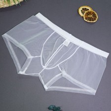 Mens Transparent Mesh Boxer