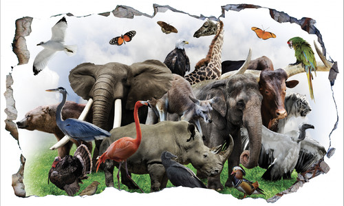 Zoo animals group - zoo, smash