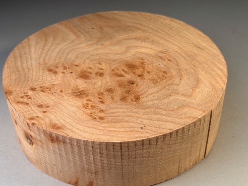 Burr elm wood turning - elm, bowl