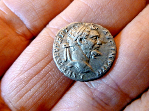 Roman septimius severus - septimius,