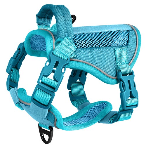 Small dog tactical - small,