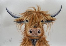 A3 Highland cow ORIGINAL(Not a