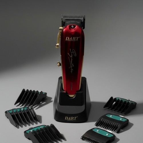 Dart professional signature - professional,
