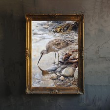 Curlew on Pebbled Beach Poster