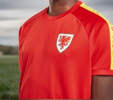 Wales Football t-shirts Colour