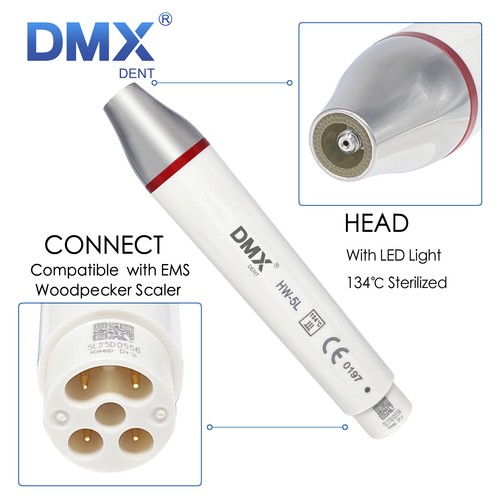 Detachable dental - hw-5l,
