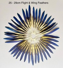 Parrot Macaw Feather Crafts