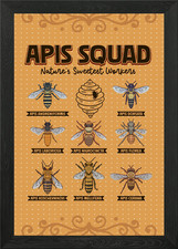 Types of Honey Bees Framed