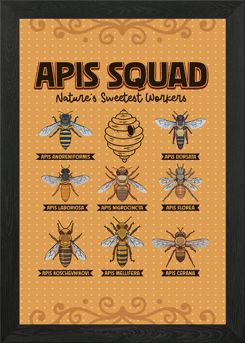 Types honey bees - types,