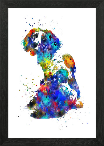 English springer spaniel