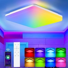 RGB Colorful LED Ceiling Light
