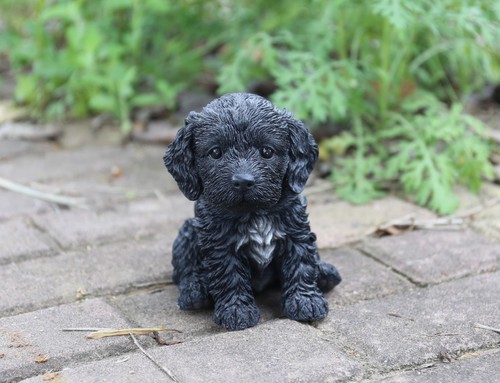 Pet pals cockapoo puppy - cockapoo,