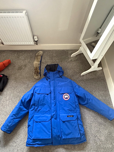 Rare canada goose expedition - rare,