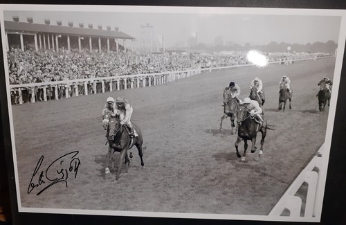 Lester piggott looking pass - piggott, to