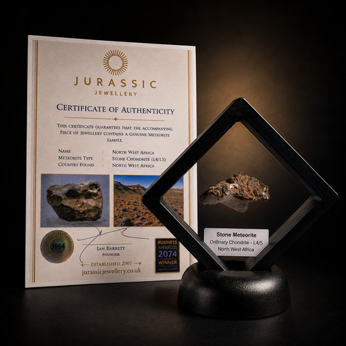 Genuine stone chondrite - stone,