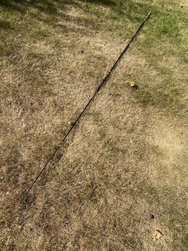 Vintage 9ft piece cane - vintage,