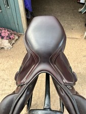 Amerigo Vega 17” +2.5