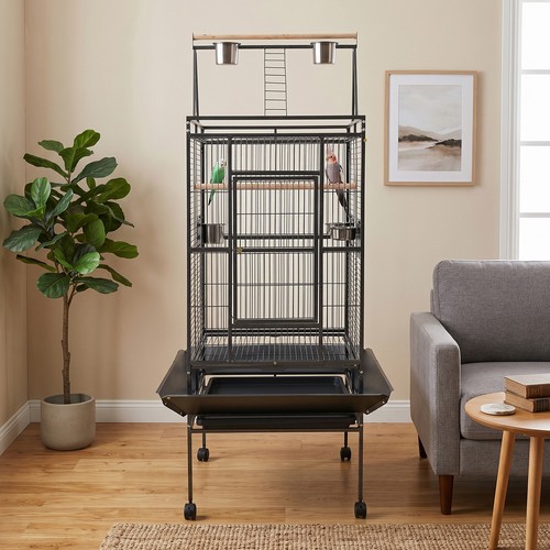 Bird cage siam - budgie, canary