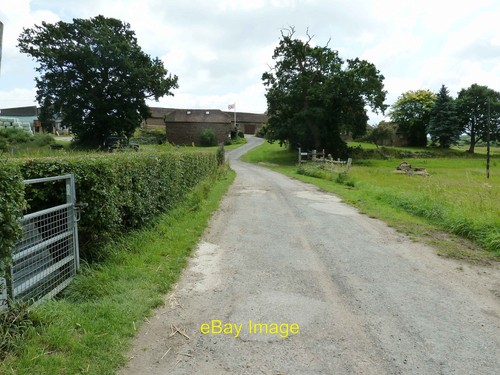 Photo 6x4 great bentley farm - 6x4,