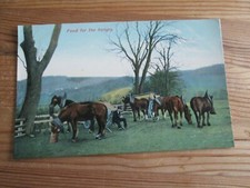 Postcard of Horses "Food for the hungry"  Unposted