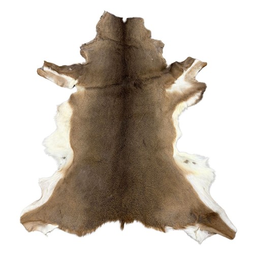 Hair deerskin hide rug - on,