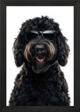 Cool Bouviers des Flandres Dog