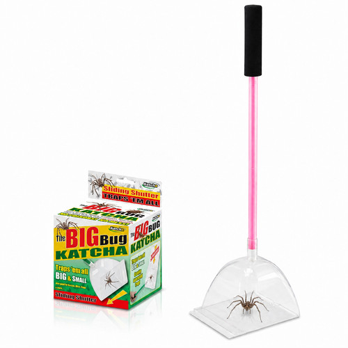 Katcha pink big - big, bug