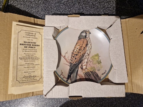 Daylight stalker plate from - daylight,