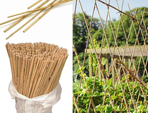 5ft bamboo canes thick garden - canes,