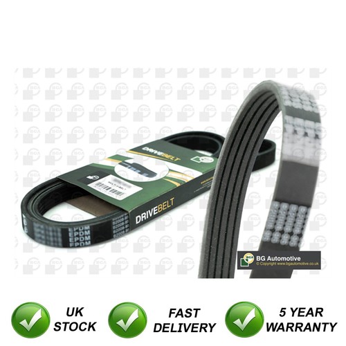 Drive belt sjr - sjr, 75
