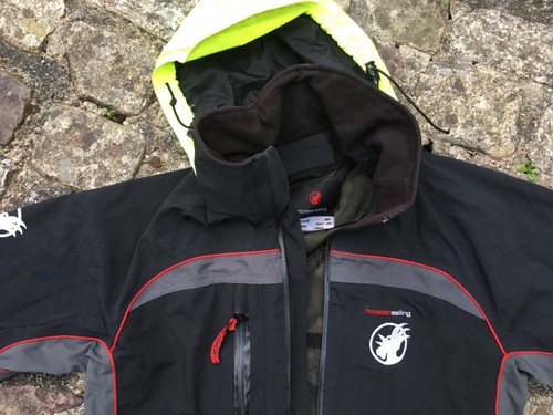 Rooster sailing - rooster,