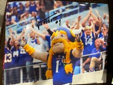 Viktor the Viking Mascot