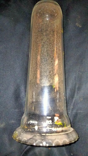 Antique glass tube possible - glass,