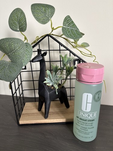 Clinique all about clean - clinique,