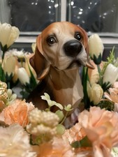 beagle dog  flower arrangement