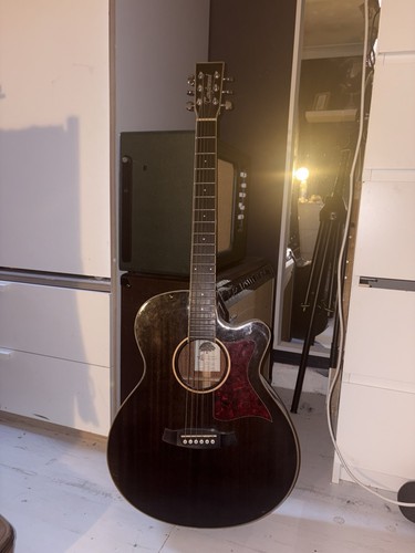Tanglewood tw4 electric - tanglewood,