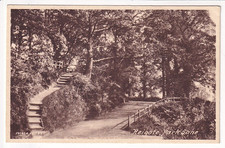 An Early Frith's Post Card of Reigate, Park Lane. Surrey.