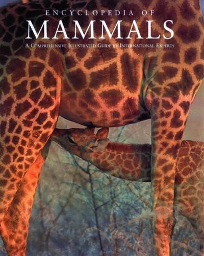 Encyclopedia mammals - encyclopedia, of
