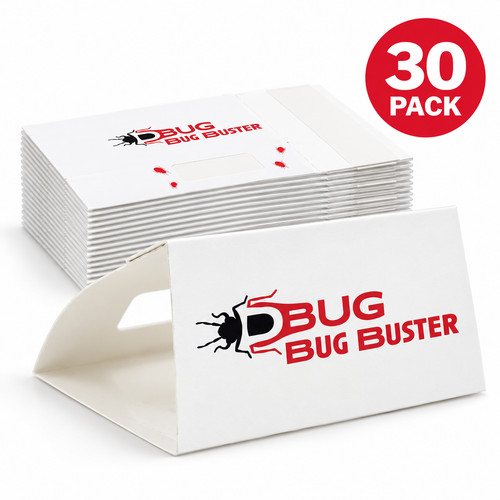 Spider glue traps - 30, safe
