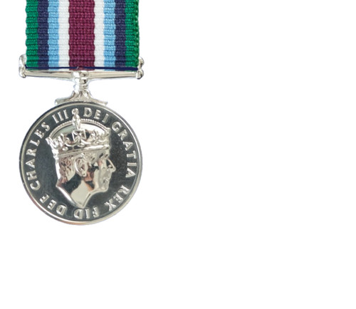 Ciiir wider service medal - ,