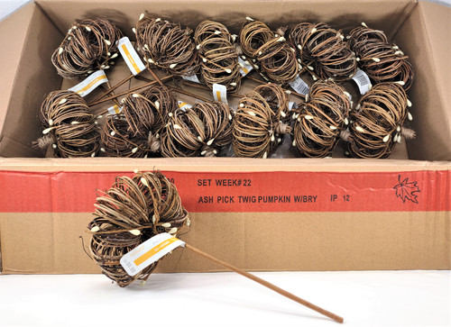 Set twig pumpkin - 12, &