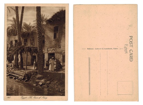 Vintage postcard egypt the - postcard,