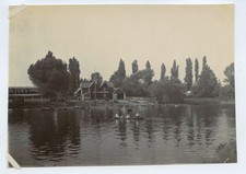 Rowing On River Or Lake Near Weybridge c1900s