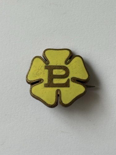 Primrose league women pin - primrose,