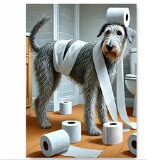 Irish Wolfhound Dog Funny