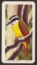 BROOKE BOND (TEA)-(CANADA)