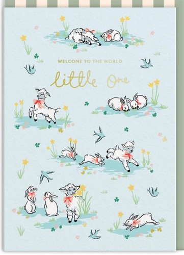 Cath kidston new baby - cath,